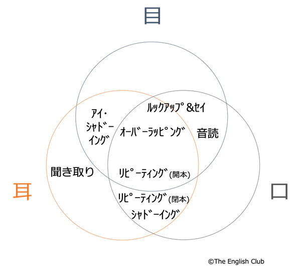 英語自動化トレーニング - 定型表現習得