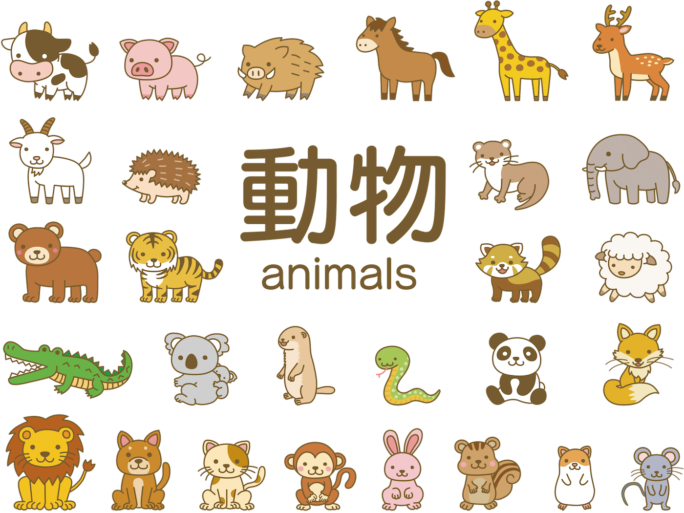 動物の名前 英語一覧 完全版 哺乳類112種類 英語の鳴き方