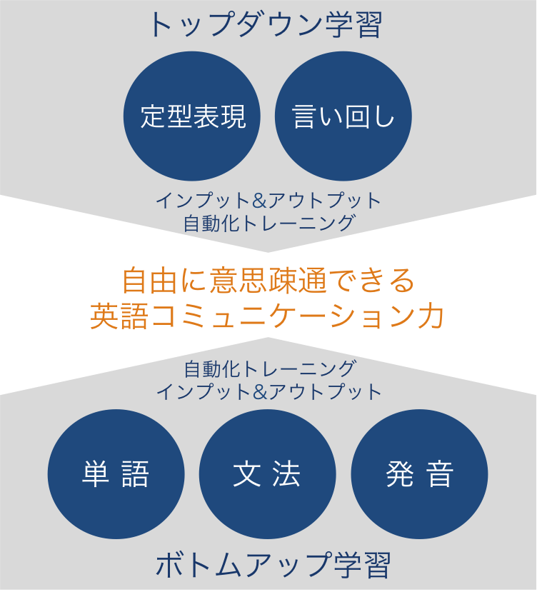 トップダウンとボトムアップ学習